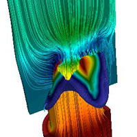 simulation biomechanics
